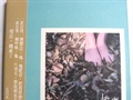 童圆喻-故事-have not been to me