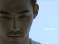 中孝介 -《それぞれに》