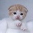 电影猫/1511069/1-01-01 00:00