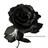chun_33/1957127/1-01-01 00:00