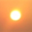 人比黄花瘦(999202)