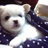 xunyi/1303312/1-01-01 00:00