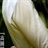 师太1959357/1959357/1-01-01 00:00