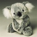 koala(102150)