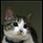 晓茉1479510/1479510/1-01-01 00:00