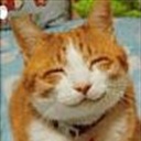 柳丁汽水2717565(2717565)