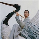 风间隼(851739)