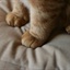 IWEN