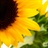marsokit/306222/1-01-01 00:00