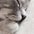 黑猫Project/1690229/1-01-01 00:00