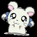 yaya29(1032382)