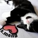 小猫2588427(2588427)