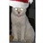 coolbing/2082046/1-01-01 00:00