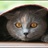 rubycat1014483/1014483/1-01-01 00:00