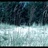 zootwo/922598/1-01-01 00:00