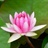 掌上流云/1026780/1-01-01 00:00