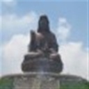 川江耗子(104780)