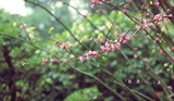 p_large_pfY0_677300018a782d0c