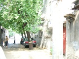 DSCN4930