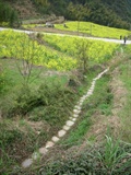 DSCN7381