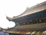 DSCN7007