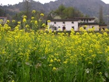 DSCN7403