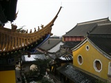 DSCN7005