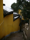 DSCN7043