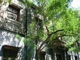 DSCN5166