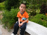 DSCN7071