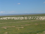 DSC05214