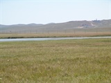 DSC05575