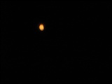 IMG_0942