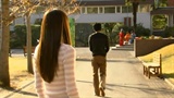honey and clover