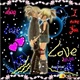 {94746CD8-2332-4D4A-B746-1303D3B583A2}