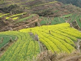 DSC01556