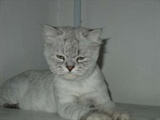 DSC06402