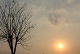 夕阳