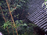 成都－青城山
