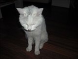 DSCF0040