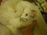 DSCF0080