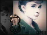 奥黛丽·赫本 Audrey Hepburn
