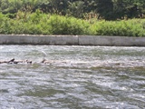 PICT0191