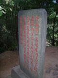 照片 221