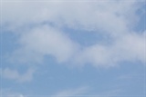 照片 177