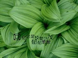 回忆
