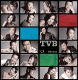 TVB2008月历封面