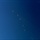 lilychoy