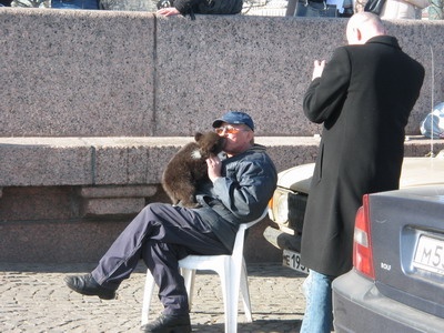 养熊人和小熊 – mtime时光网